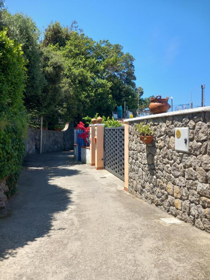 Villetta Panoramica Forio di Ischia Esterno foto