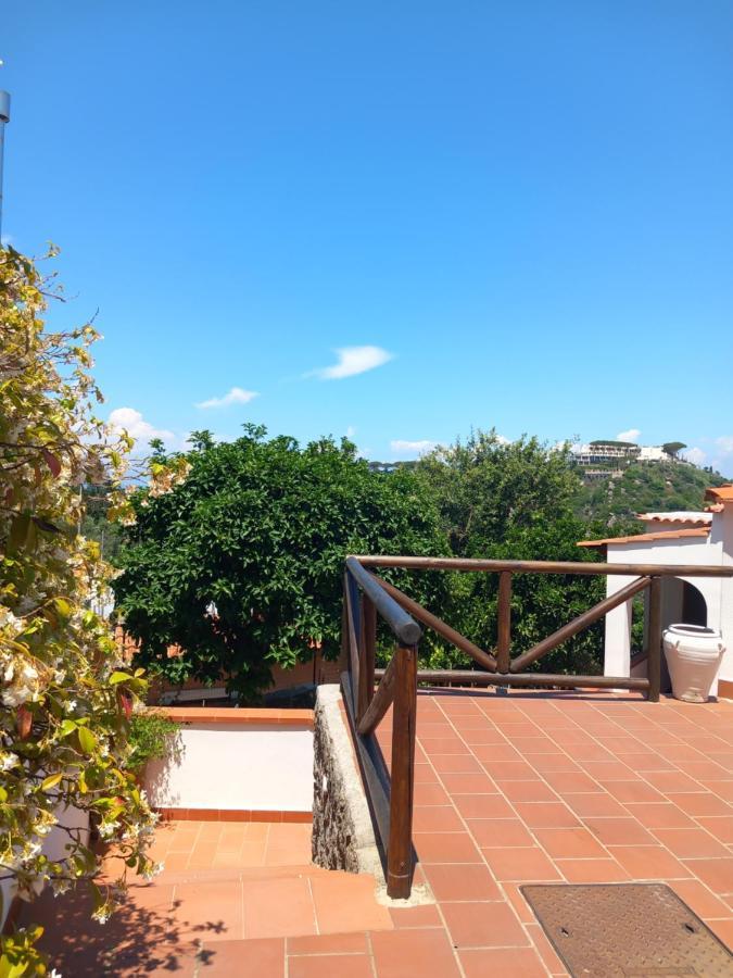 Villetta Panoramica Forio di Ischia Esterno foto