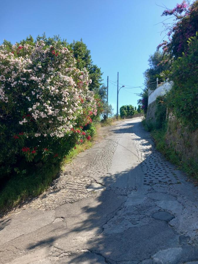 Villetta Panoramica Forio di Ischia Esterno foto
